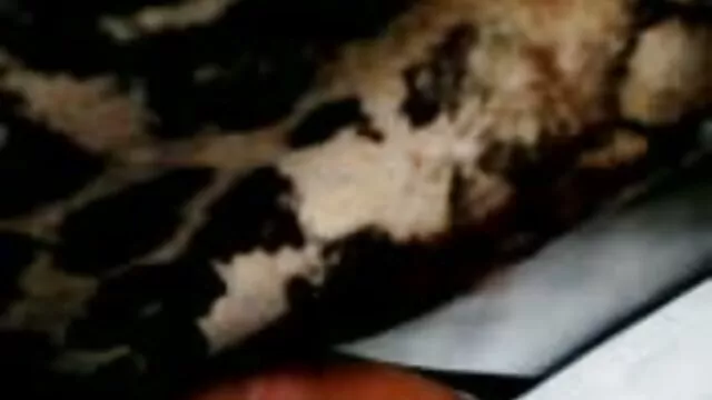 Kvalitatīvs : Pusaudžu brunete ar iedeguma līnijām, ko fucked ar istabas biedra puisi Cool porno filmas